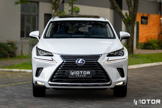 LEXUS NX300h LUXURY - 2019